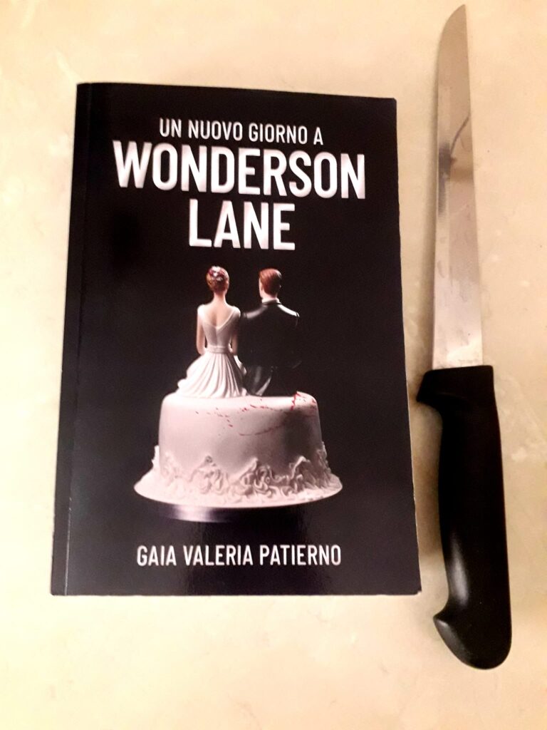 Copertina Un nuovo giorno a Wonderson Lane